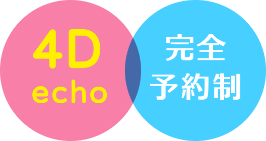 4D echo 完全予約制